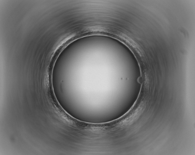 X0000110920782200906181408