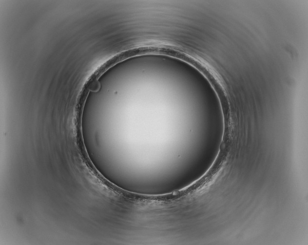 X0000110920783200906181408