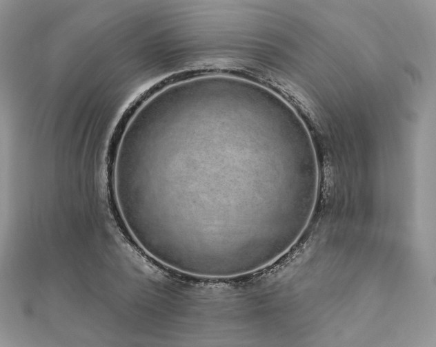 X0000110920784200906181408