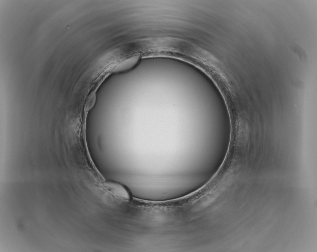 X0000110920785200906181408