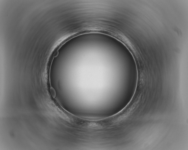 X0000110920787200906181408