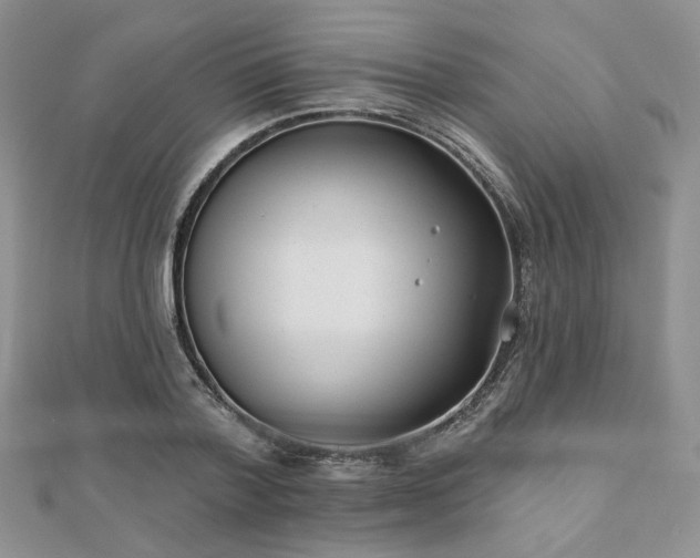 X0000110920788200906181408