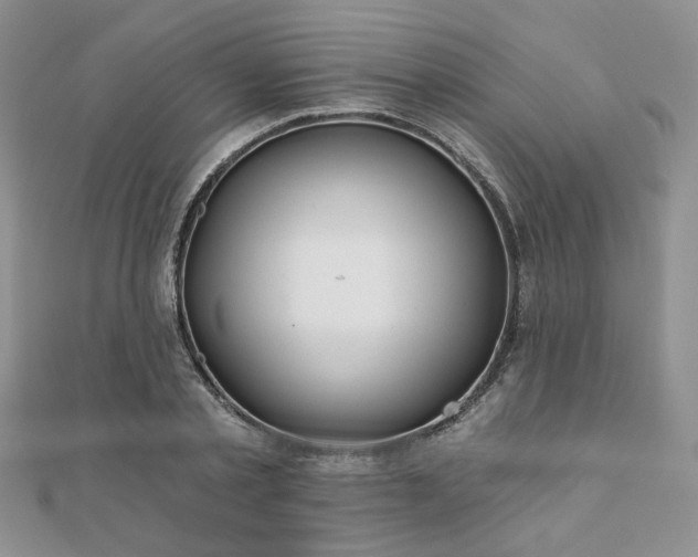X0000110920789200906181408