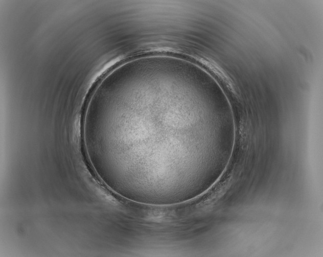 X0000110920790200906181408