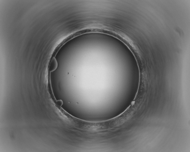 X0000110920791200906181408