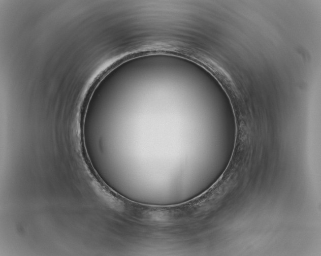 X0000110920792200906181408