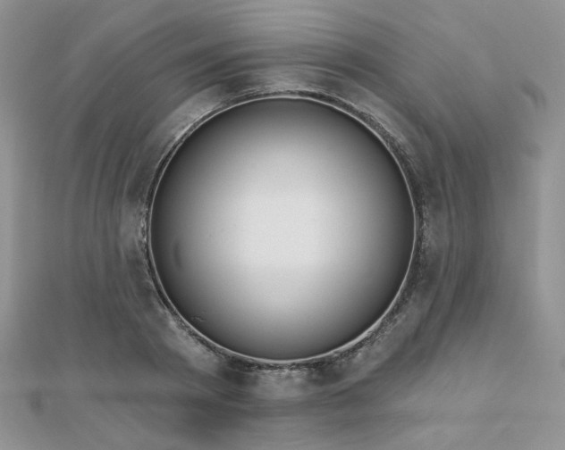 X0000110920793200906181408