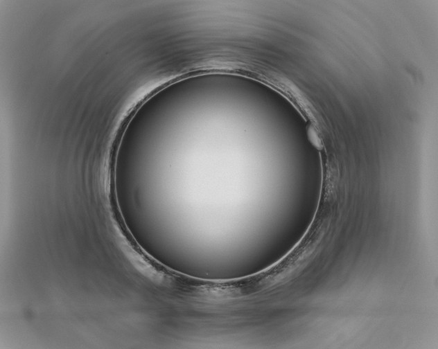 X0000110920795200906181408