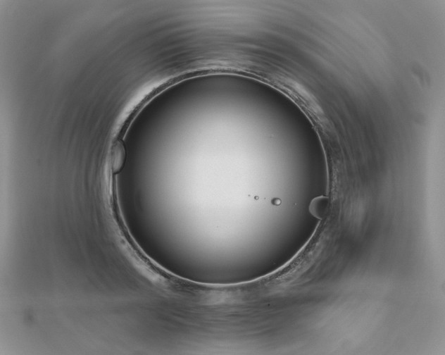 X0000110920796200906181408