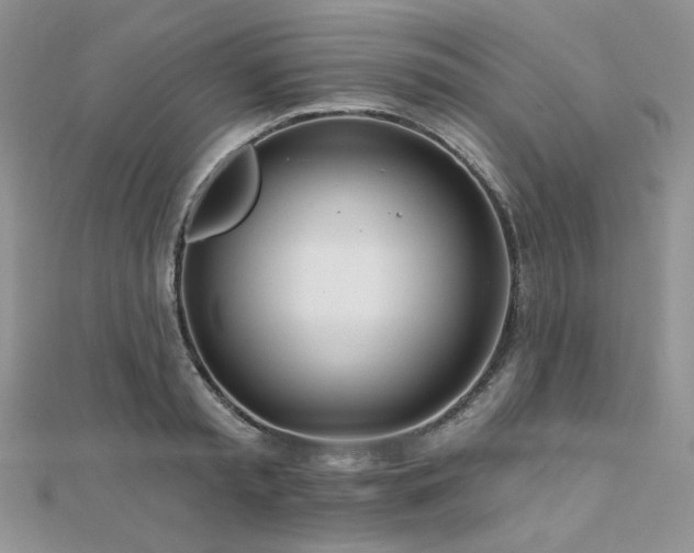 X0000110920797200906181408