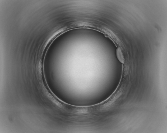 X0000110920798200906181408