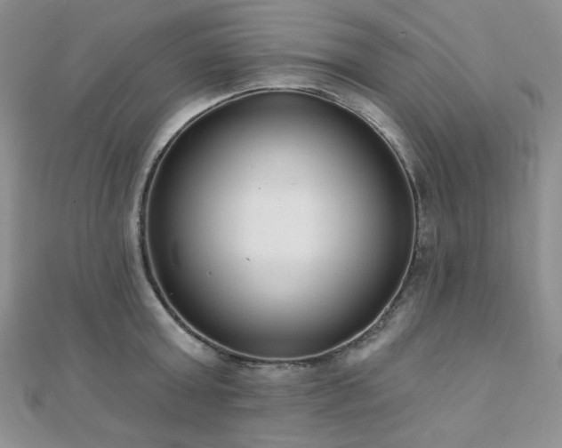 X0000110920803200906181407