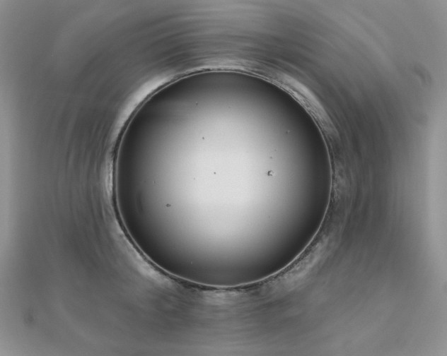 X0000110920804200906181407