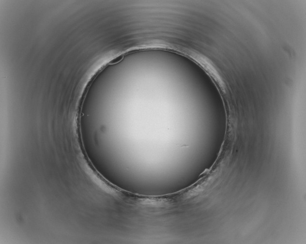 X0000110920805200906181407