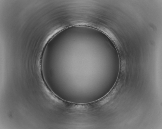 X0000110920806200906181407