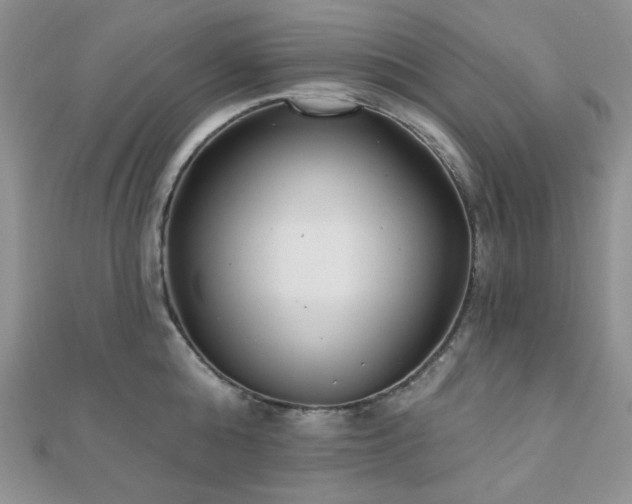 X0000110920808200906181407