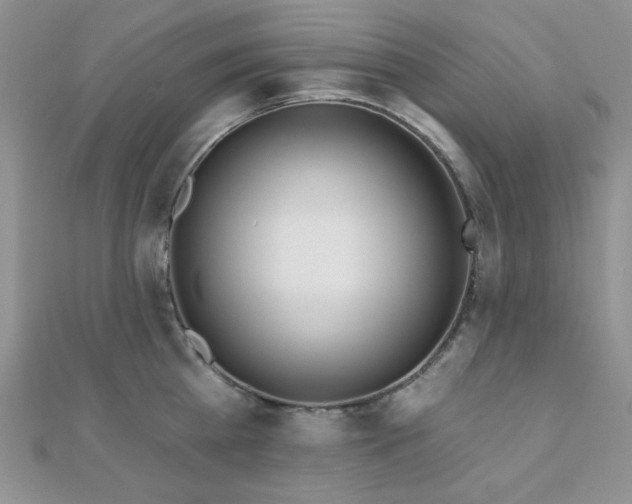X0000110920809200906181407
