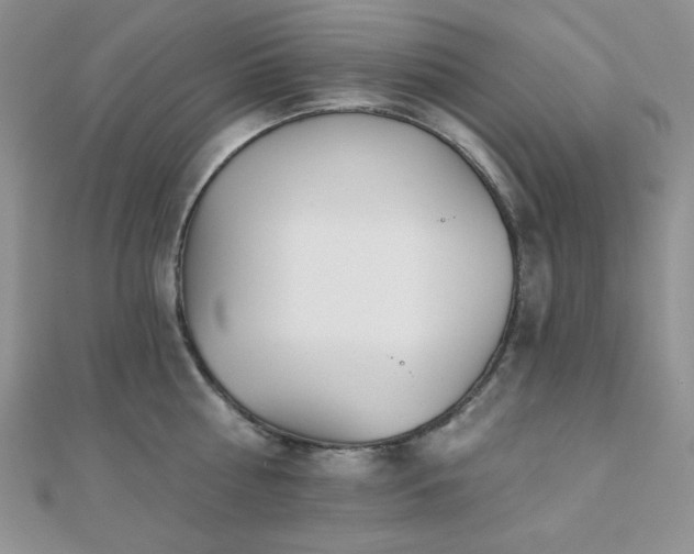 X0000110920810200906181407