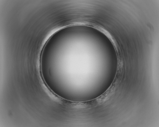 X0000110920811200906181407