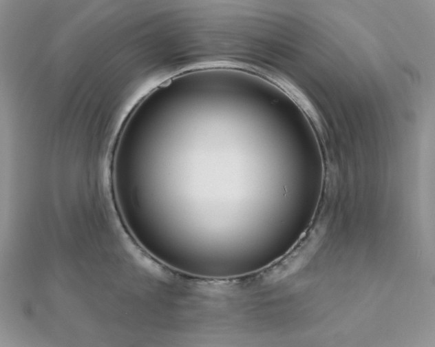 X0000110920813200906181407