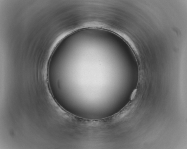 X0000110920815200906181407
