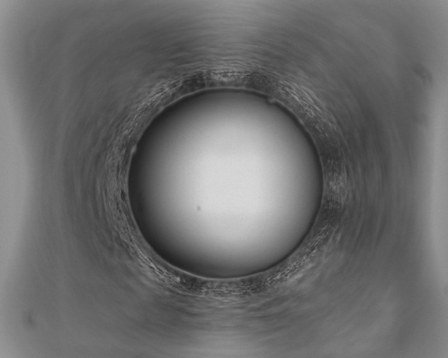 X0000110920817200906181407