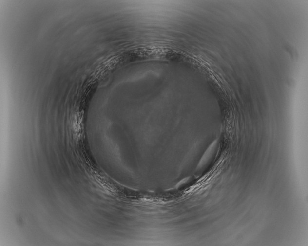 X0000110920818200906181407
