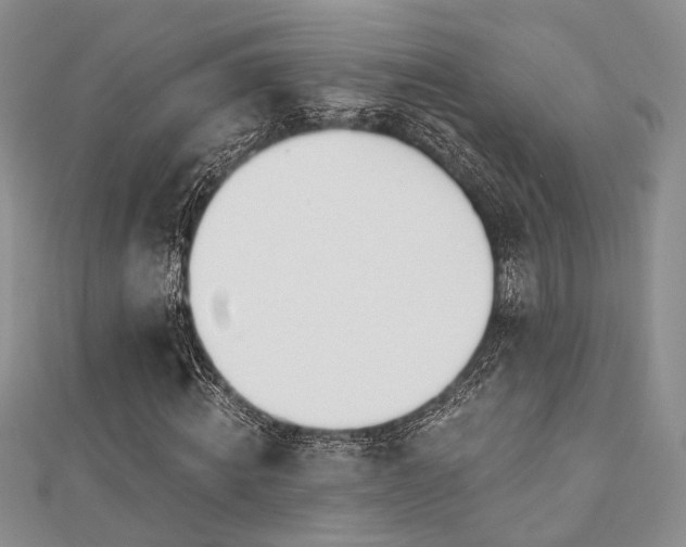 X0000110920820200906181407