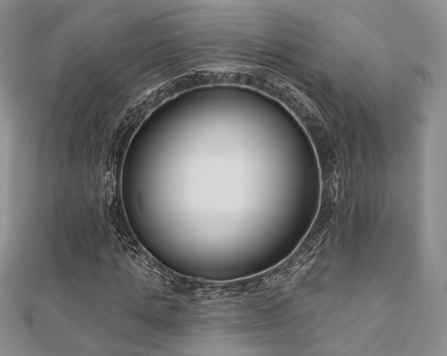 X0000110920821200906181407