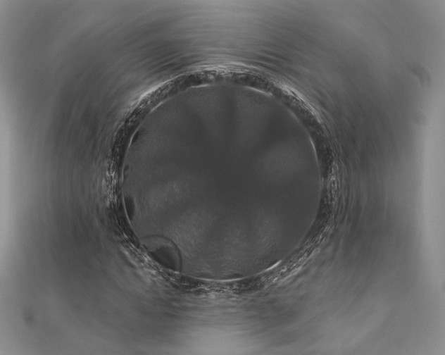 X0000110920822200906181407