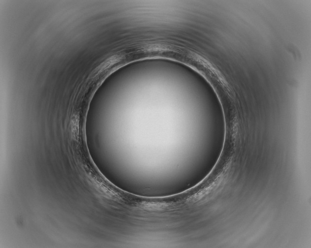 X0000110920825200906181407