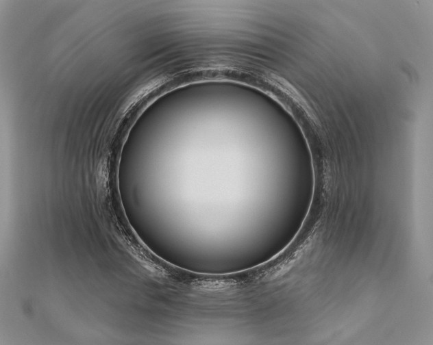X0000110920826200906181407