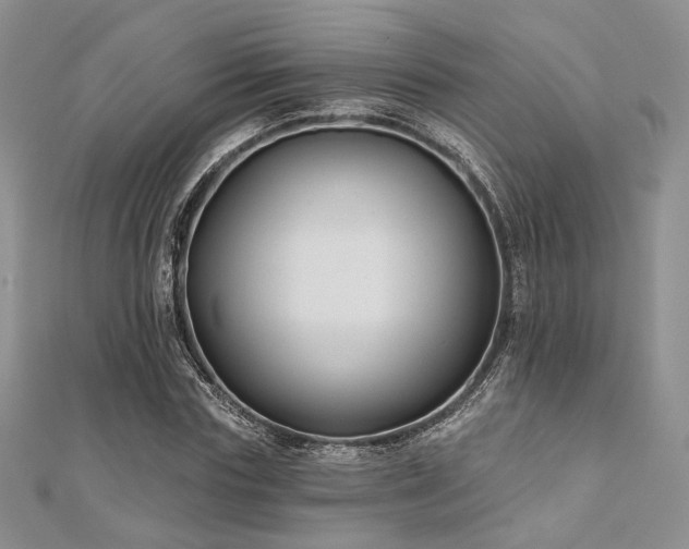 X0000110920827200906181407