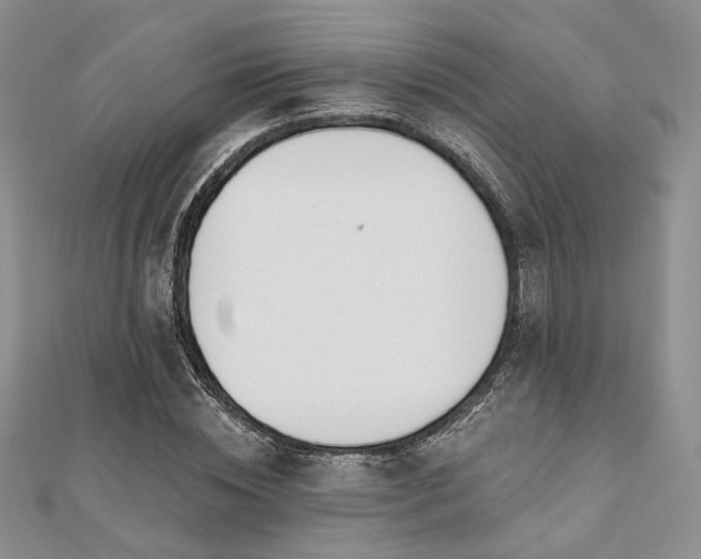 X0000110920828200906181407