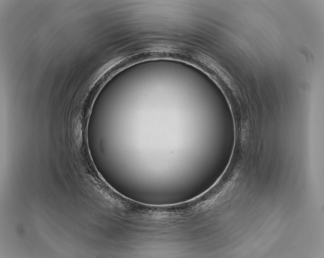 X0000110920829200906181407