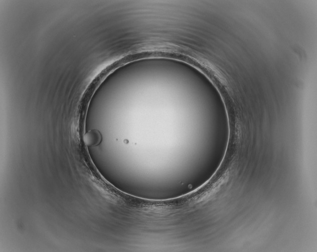 X0000110920830200906181407