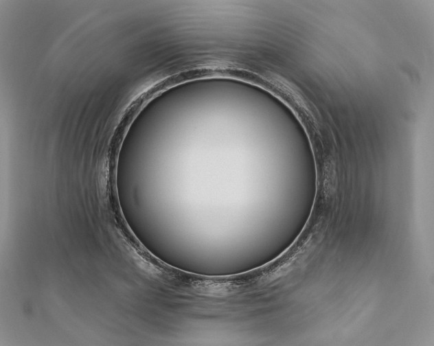 X0000110920831200906181407