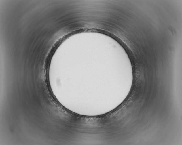 X0000110920832200906181407