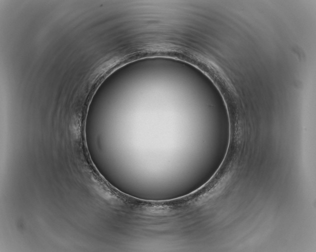 X0000110920833200906181407