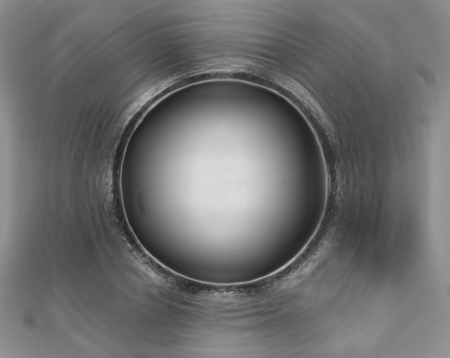 X0000110920834200906181407