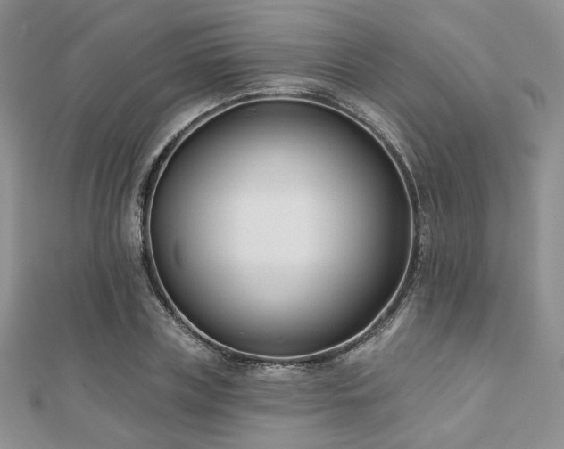X0000110920835200906181407