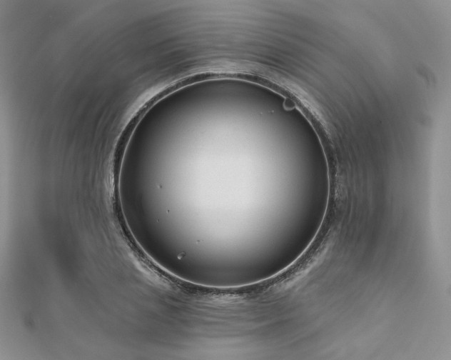 X0000110920837200906181407