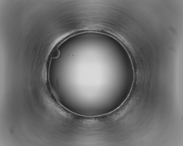X0000110920838200906181407