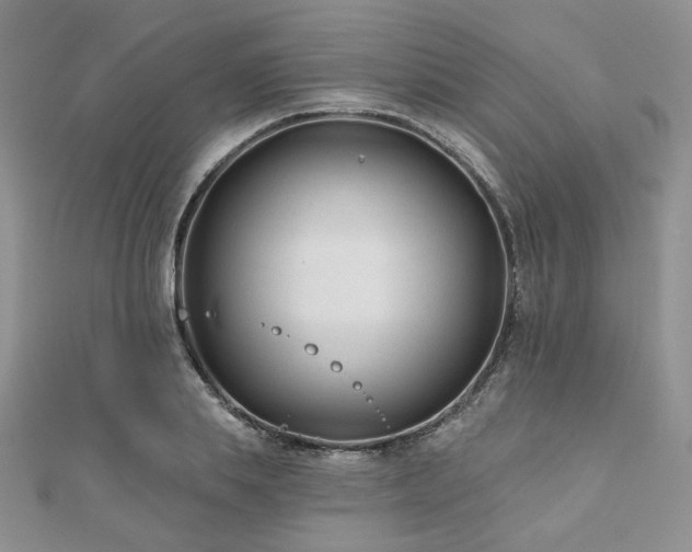 X0000110920839200906181407