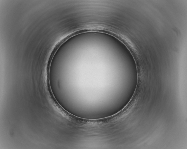 X0000110920840200906181407