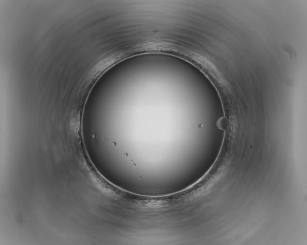 X0000110920841200906181407