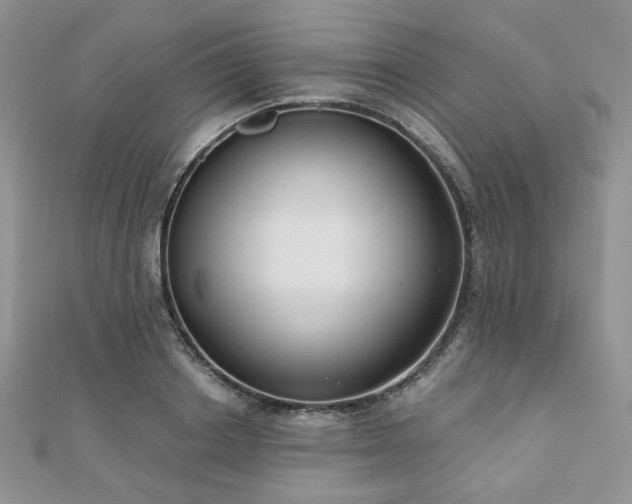 X0000110920842200906181407