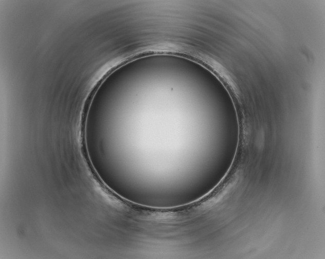 X0000110920845200906181407