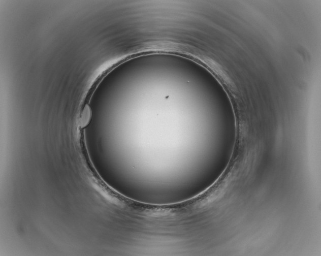 X0000110920846200906181407