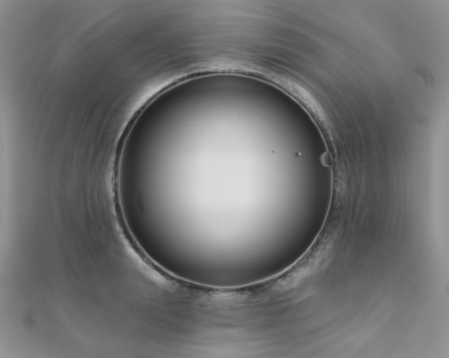 X0000110920847200906181407